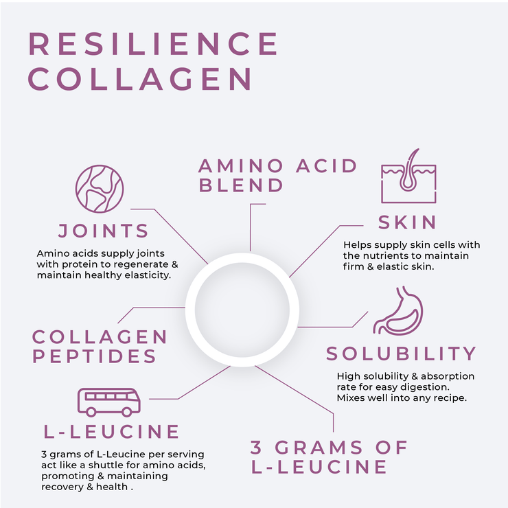 Resilience Collagen Protein Powder Fitness Supplement - from FNX Fitness in USA Infographic Image (Amino Acid Blend, Skin, Solubility, 3 Grams of L-Leucine, L-Leucine, Collagen Peptides, Joints)