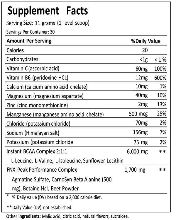 Recover BCAA Fitness Supplement from FNX Fitness in the USA - 6g BCAA 2:1:1 Ratio - Supplement Facts Sheet + Nutrition Information