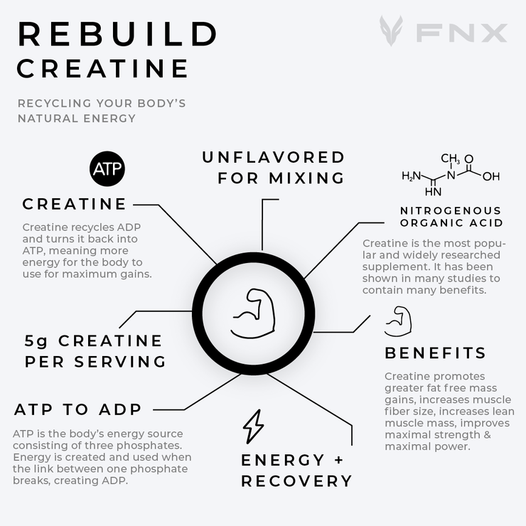 Rebuild Creatine Powder Fitness Supplement - 5g Creatine - Unflavored - from FNX Fitness in USA Infographic Image (Unflavored for Mixing, Nitrogenous Organic Acid, Benefits, Energy + Recovery, ATP to ADP, 5g Creatine Per Serving, Creatine)