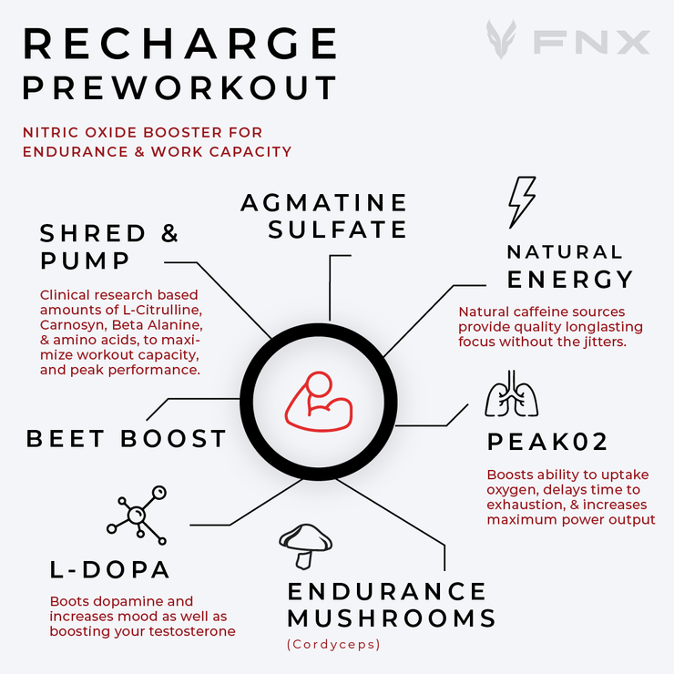 Recharge Pre Workout (Preworkout) Nitric Oxide Booster Fitness Supplement - from FNX Fitness in USA Infographic Sheet (Shred & Pump, Agmatine Sulfate, Natural Energy, Peak02, Endurance Mushrooms, L-Dopa, Beet Boost)