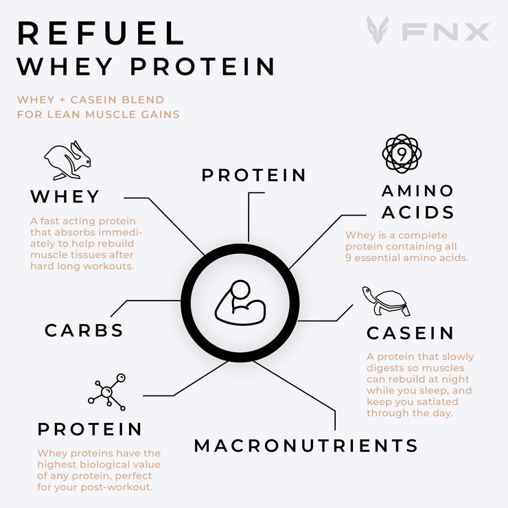Refuel Whey Protein Blend - Protein Shake Fitness Supplement - 1.5g L-Glutamine, 22g Protein, 5g BCAA - Fitness Supplement from FNX Fitness in USA Infographic Image (Whey, Protein, Amino Acids, Casein, Macronutrients, Protein, Carbs)