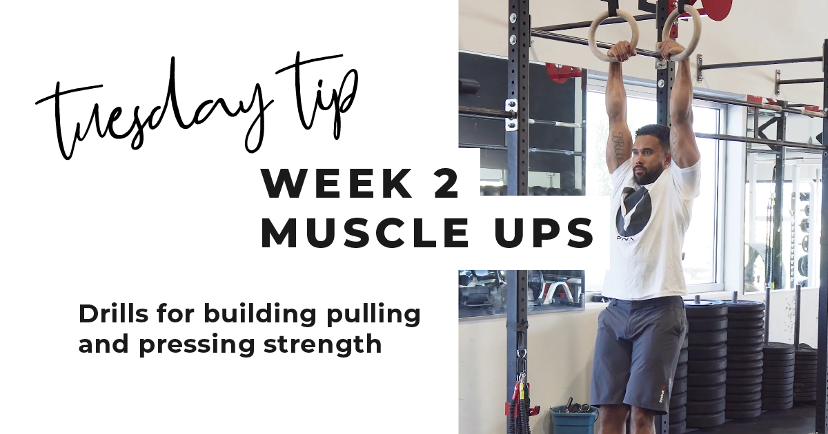 Muscle Up Progression Week 2 – FNX