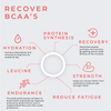 Recover BCAA Fitness Supplement from FNX Fitness in the USA - 6g BCAA 2:1:1 Ratio - Infograph Sheet (Hydration, Protein Synthesis, Recovery, Strength, Reduces Fatigue, Endurance, Leucine)
